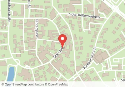 Obergasse Rüsselsheim – Hotels in der Nähe Hotels an der Obergasse in Rüsselsheim – Unterkünfte, Pensionen und Ferienwohnungen in zentraler Lage