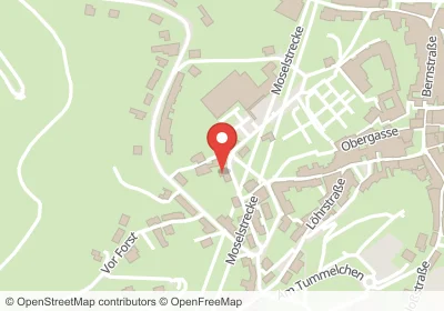 In der Hohl Cochem – Hotels in der Nähe Hotels an der In der Hohl in Cochem – Unterkünfte, Pensionen und Ferienwohnungen in zentraler Lage