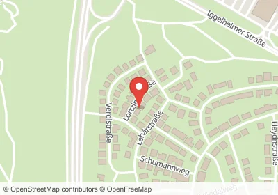 Lortzingstraße Speyer – Hotels in der Nähe Hotels an der Lortzingstraße in Speyer – Unterkünfte, Pensionen und Ferienwohnungen in zentraler Lage