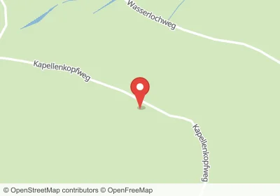 Hotels an der Kapellenkopfweg in Schluchsee – Unterkünfte, Pensionen und Ferienwohnungen in zentraler Lage