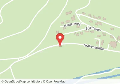 Hotels an der Spitzhalde in Lenzkirch – Unterkünfte, Pensionen und Ferienwohnungen in zentraler Lage