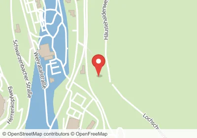 Lochschweineweg Todtmoos – Hotels in der Nähe Hotels an der Lochschweineweg in Todtmoos – Unterkünfte, Pensionen und Ferienwohnungen in zentraler Lage