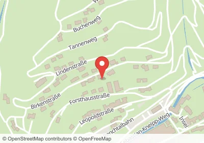 Birkenstraße Bad Peterstal-Griesbach – Hotels in der Nähe Hotels an der Birkenstraße in Bad Peterstal-Griesbach – Unterkünfte, Pensionen und Ferienwohnungen in zentraler Lage
