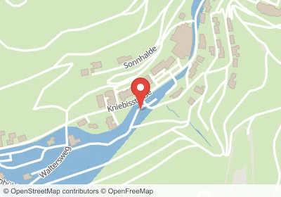 Hotels an der Kniebisstraße in Bad Peterstal-Griesbach – Unterkünfte, Pensionen und Ferienwohnungen in zentraler Lage