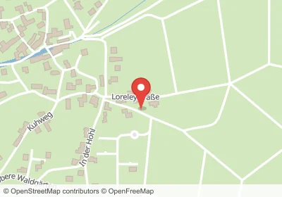 Hotels an der Loreleystraße in Sankt Goar – Unterkünfte, Pensionen und Ferienwohnungen in zentraler Lage