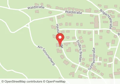 Erlenweg Donaueschingen – Hotels in der Nähe Hotels an der Erlenweg in Donaueschingen – Unterkünfte, Pensionen und Ferienwohnungen in zentraler Lage