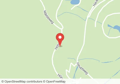 Hotels an der Höhenweg in Sankt Märgen – Unterkünfte, Pensionen und Ferienwohnungen in zentraler Lage