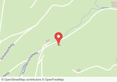 Hotels an der Hummelmühleweg in Sankt Märgen – Unterkünfte, Pensionen und Ferienwohnungen in zentraler Lage