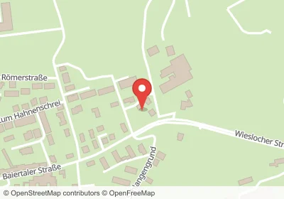 Hotels an der Steinbergstraße in Wiesloch – Unterkünfte, Pensionen und Ferienwohnungen in zentraler Lage