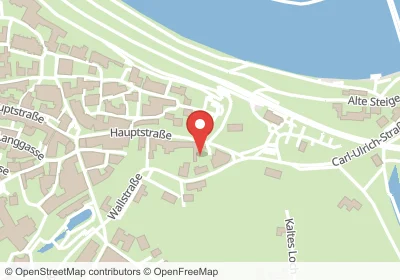 Hotels an der Hauptstraße in Bad Wimpfen – Unterkünfte, Pensionen und Ferienwohnungen in zentraler Lage