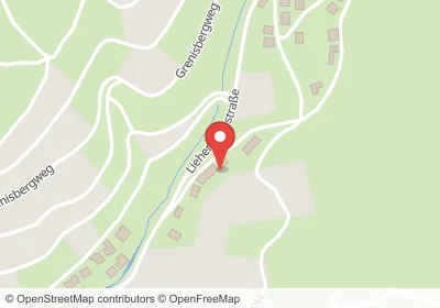 Wintereckweg Bühlertal – Hotels in der Nähe Hotels an der Wintereckweg in Bühlertal – Unterkünfte, Pensionen und Ferienwohnungen in zentraler Lage