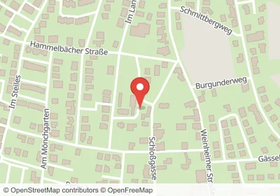 Hinter den Gärten Weinheim – Hotels in der Nähe Hotels an der Hinter den Gärten in Weinheim – Unterkünfte, Pensionen und Ferienwohnungen in zentraler Lage