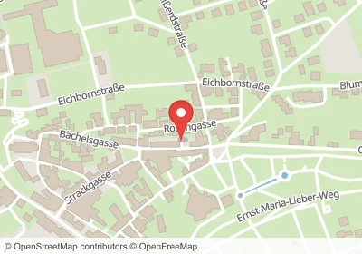 Hotels an der Rosengasse in Bad Camberg – Unterkünfte, Pensionen und Ferienwohnungen in zentraler Lage