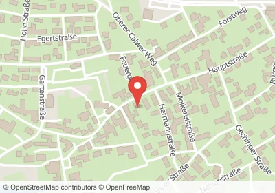 Hotels an der Feuergasse in Calw – Unterkünfte, Pensionen und Ferienwohnungen in zentraler Lage