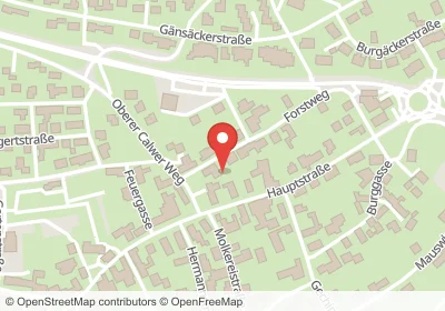 Hotels an der Forstweg in Calw – Unterkünfte, Pensionen und Ferienwohnungen in zentraler Lage