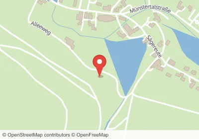 Alleeweg Ettenheim – Hotels in der Nähe Hotels an der Alleeweg in Ettenheim – Unterkünfte, Pensionen und Ferienwohnungen in zentraler Lage