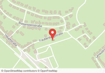 Hotels an der Traubenbergstraße in Homburg – Unterkünfte, Pensionen und Ferienwohnungen in zentraler Lage