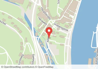 Hotels an der Alleweg in Hirschhorn (Neckar) – Unterkünfte, Pensionen und Ferienwohnungen in zentraler Lage
