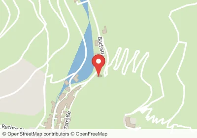 Hotels an der Bachstraße in Sankt Goarshausen – Unterkünfte, Pensionen und Ferienwohnungen in zentraler Lage