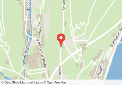 Hotels an der Schloßstraße in Hirschhorn (Neckar) – Unterkünfte, Pensionen und Ferienwohnungen in zentraler Lage