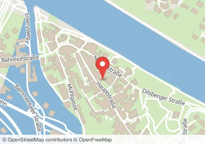 Hotels an der Elisenstraße in Neckargemünd – Unterkünfte, Pensionen und Ferienwohnungen in zentraler Lage