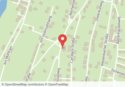 Hotels an der Reichensteinstraße in Neckargemünd – Unterkünfte, Pensionen und Ferienwohnungen in zentraler Lage