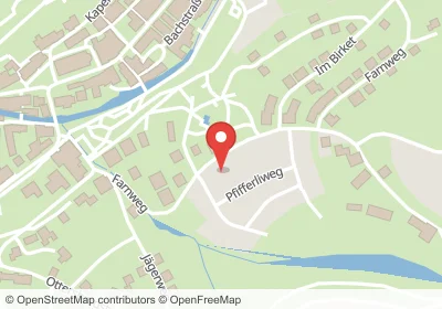 Farnweg Oppenau – Hotels in der Nähe Hotels an der Farnweg in Oppenau – Unterkünfte, Pensionen und Ferienwohnungen in zentraler Lage