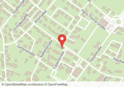 Lindenallee Renchen – Hotels in der Nähe Hotels an der Lindenallee in Renchen – Unterkünfte, Pensionen und Ferienwohnungen in zentraler Lage