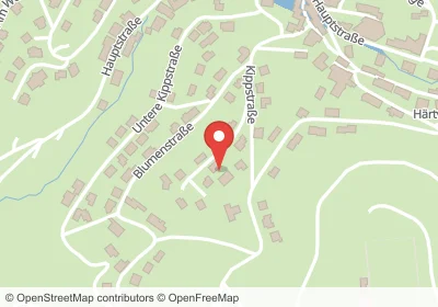 Hotels an der Rosenweg in Schriesheim – Unterkünfte, Pensionen und Ferienwohnungen in zentraler Lage