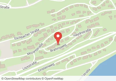 Beethovenstraße Waldshut-Tiengen – Hotels in der Nähe Hotels an der Beethovenstraße in Waldshut-Tiengen – Unterkünfte, Pensionen und Ferienwohnungen in zentraler Lage