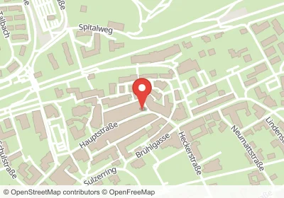 Zubergasse Waldshut-Tiengen – Hotels in der Nähe Hotels an der Zubergasse in Waldshut-Tiengen – Unterkünfte, Pensionen und Ferienwohnungen in zentraler Lage