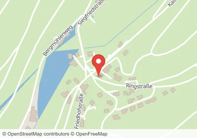 Siegfriedstraße Hesseneck – Hotels in der Nähe Hotels an der Siegfriedstraße in Hesseneck – Unterkünfte, Pensionen und Ferienwohnungen in zentraler Lage