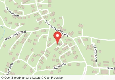 Birkenweg Ühlingen-Birkendorf – Hotels in der Nähe Hotels an der Birkenweg in Ühlingen-Birkendorf – Unterkünfte, Pensionen und Ferienwohnungen in zentraler Lage