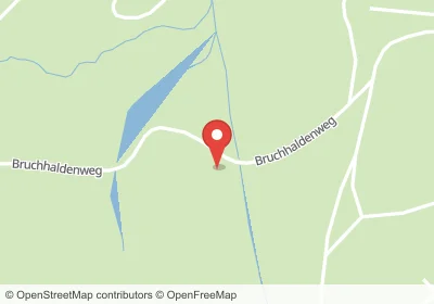 Bruchhaldenweg Dachsberg (Südschwarzwald) – Hotels in der Nähe Hotels an der Bruchhaldenweg in Dachsberg (Südschwarzwald) – Unterkünfte, Pensionen und Ferienwohnungen in zentraler Lage