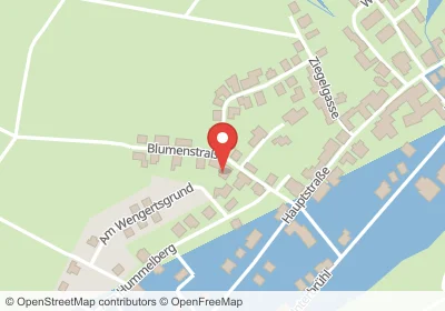 Blumenstraße Meckesheim – Hotels in der Nähe Hotels an der Blumenstraße in Meckesheim – Unterkünfte, Pensionen und Ferienwohnungen in zentraler Lage