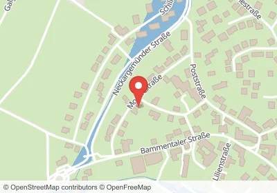 Hotels an der Mozartstraße in Wiesenbach – Unterkünfte, Pensionen und Ferienwohnungen in zentraler Lage