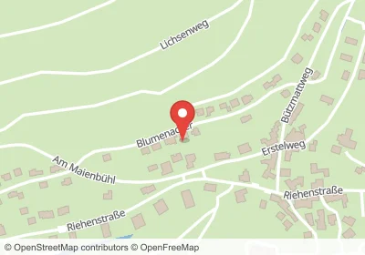 Hotels an der Blumenacker in Inzlingen – Unterkünfte, Pensionen und Ferienwohnungen in zentraler Lage