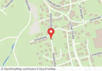 Hotels an der Amselweg in Alfdorf – Unterkünfte, Pensionen und Ferienwohnungen in zentraler Lage