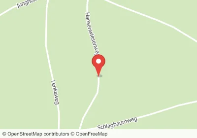 Hotels an der Hansenwiesenweg in Schwarzach – Unterkünfte, Pensionen und Ferienwohnungen in zentraler Lage
