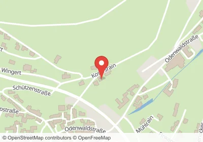 Kosersrain Neckargerach – Hotels in der Nähe Hotels an der Kosersrain in Neckargerach – Unterkünfte, Pensionen und Ferienwohnungen in zentraler Lage