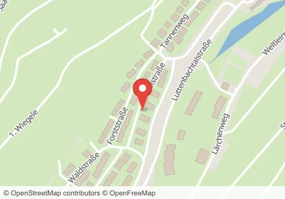 Hotels an der Mittelstraße in Neckarzimmern – Unterkünfte, Pensionen und Ferienwohnungen in zentraler Lage