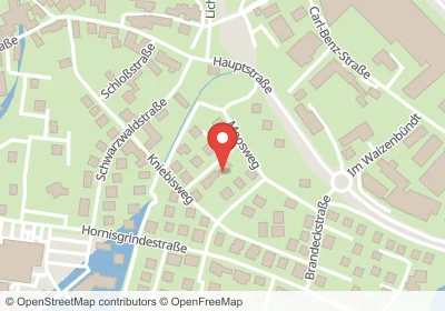 Hotels an der Schwanenbühn in Willstätt – Unterkünfte, Pensionen und Ferienwohnungen in zentraler Lage